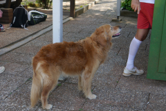 P1010734